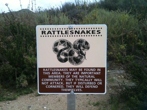 rattlesnake warning