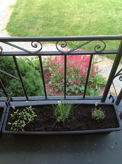 05-24-2012 Container herb garden 1