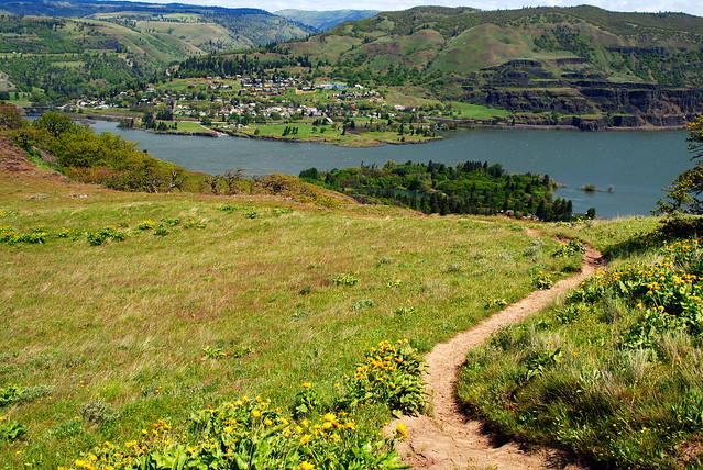 Lyle, Washington in the distance - Tom McCall Preserve - Eastern Columbia River Gorge