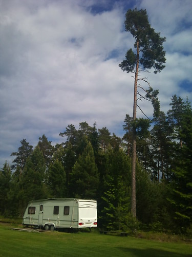 Tree and caravan by XPeria2Day