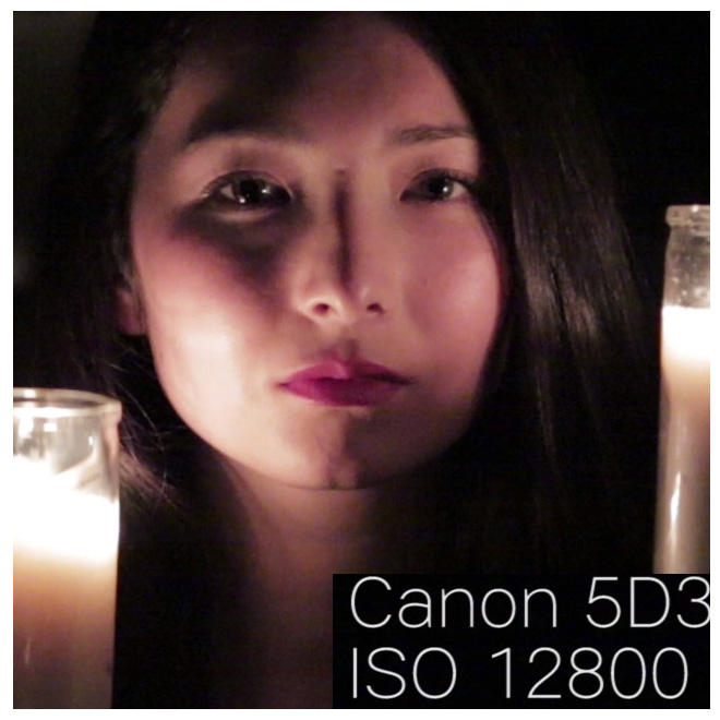 canon5d3_iso12800_100percentcrop