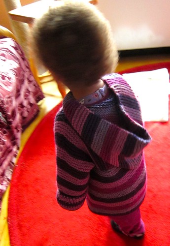 Plum Stripe Toddler Tomten Jacket for Z