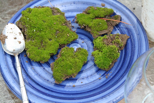 Gathered Moss