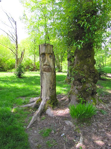 this tree stump was staring at me