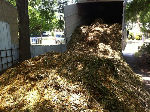 Load of wood chip from local tree service