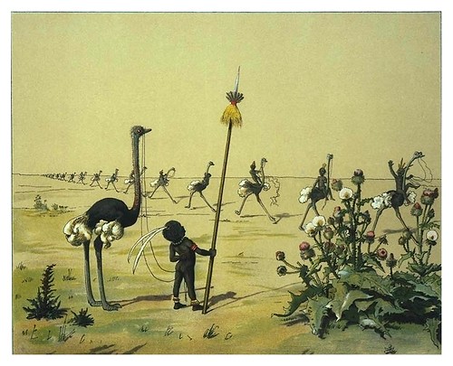 009-Marcha austriaca-Afrika  Studien und Einfaelle eines Malers 1895- Hans Richard von Volkmann- Universitätsbibliotheken Oldenburg