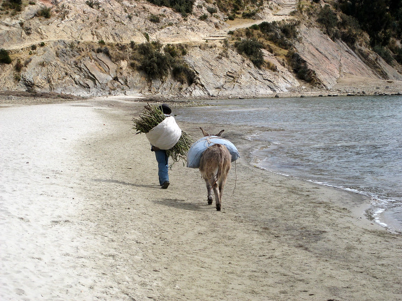 Man & Donkey - Isla Del Sol - Lake Titicaca - Bolivia