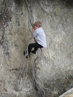 G'tums Climbing the Root Rosario