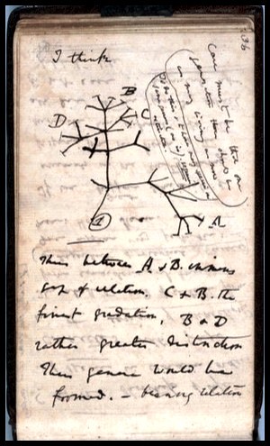 Darwin's notebook by ConserVentures