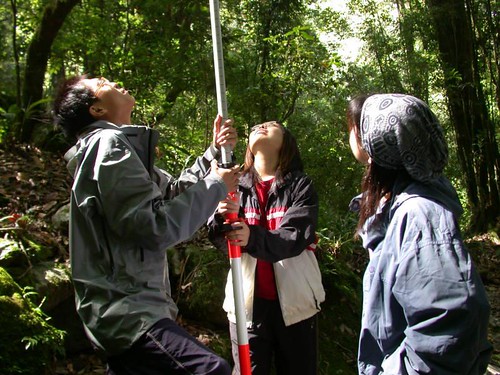 參加楠溪工作隊，在森林裡進行每木調查，地球公民基金會提供