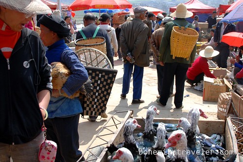 Friday Market in Shaxi Yunnan China 19