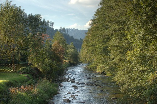 River in the Black Forest