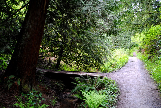 Hoyt Arboretum - Portland, Oregon
