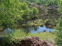 Cannock Chase Old Quarry 22nd May 2012