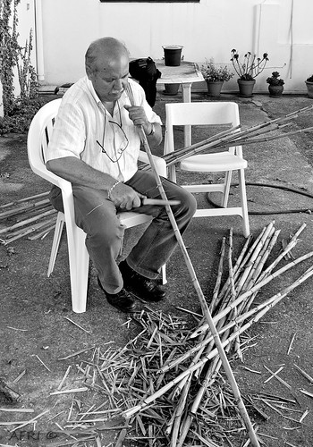 Preparando cañas para las tomateras by Bakalito (Antonio Benítez Paz)
