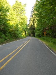 Timber Road