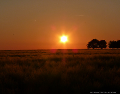 Sunset over Wheat field