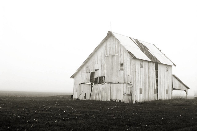 Weathered Barn -- Foggy Morning