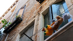 Drying Plushes in Venice
