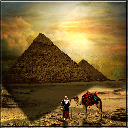 In the shadow of the pyramids