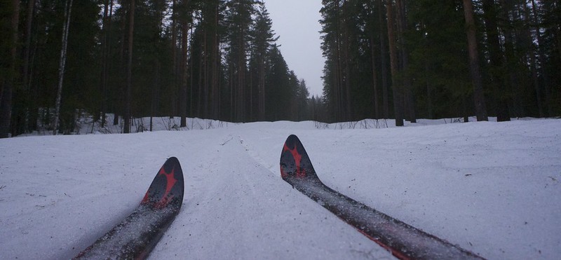 Skis in the Mist