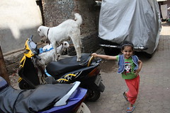 Even Street Photographers Learnt To Emote ..As Playful as Little Goats by firoze shakir photographerno1