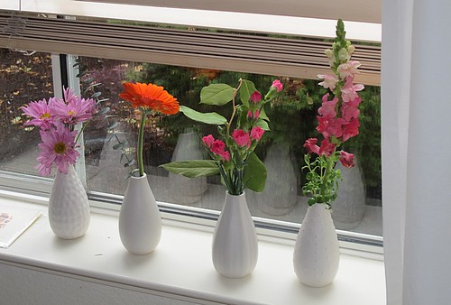 Flowers on the windowsill by Alika-Rikki