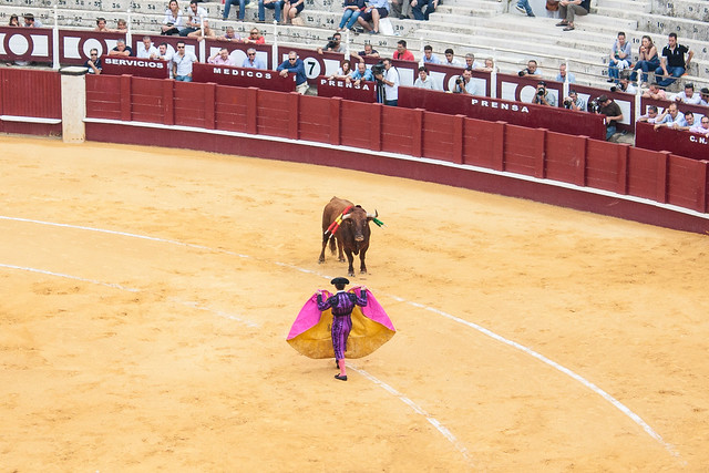 Bullfight-125.jpg