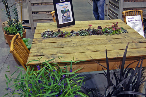 San Francisco Garden Show Succulent Garden Pallet Table by FarOutFlora