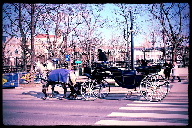 Horse carriage in Vienna