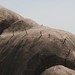 Bismarck Rocks Impressions, Mwanza - IMG_5291