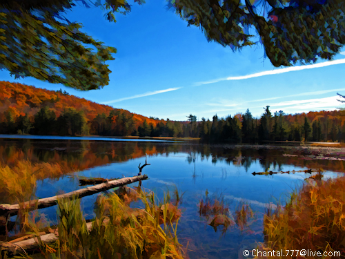 Unspoiled Nature - Scenic Autumn Lake Reflection by Chantal.PhotoPix
