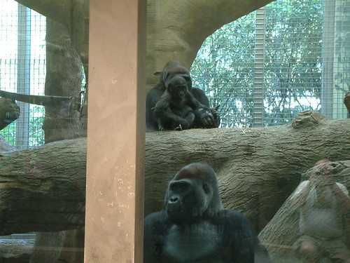 Mom- Daughter and Dad. by Sunshine Gorilla