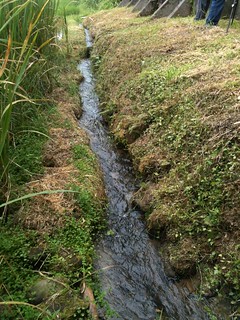 二重埔湧泉灌溉出優質米，居民細心維護，維持潔淨水源。