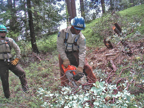 Javonnta Murphy and Troy Dorgeloh of the California Conservation Corps work to add 8 miles to the San Domingo portion of the Arnold Rim Trail in the Stanislaus National Forest in California. USFS photo.