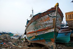Royapuram Fishing Harbour (Chennai,India)
