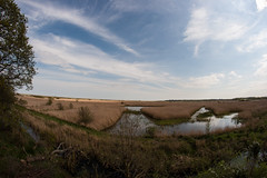 The view from Bittern Hide