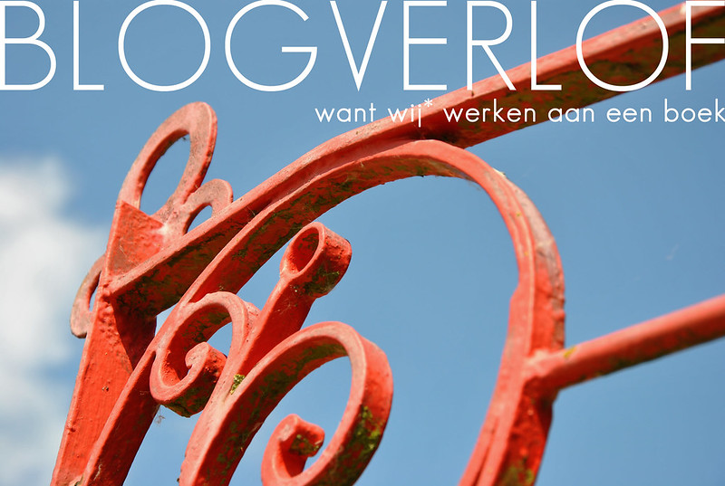 blogverlof - boek