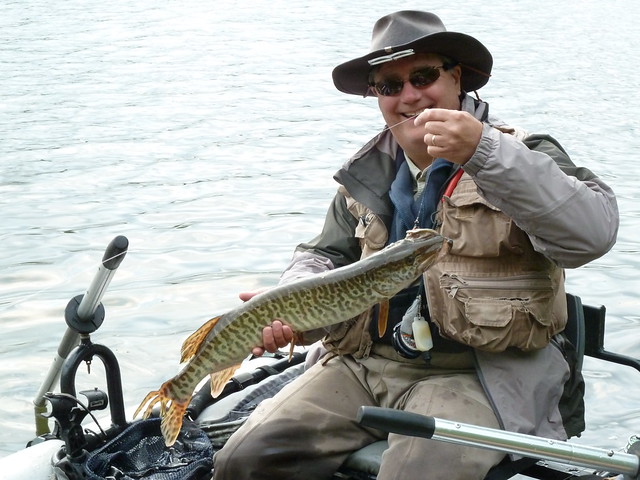 fly fishing for tiger muskie