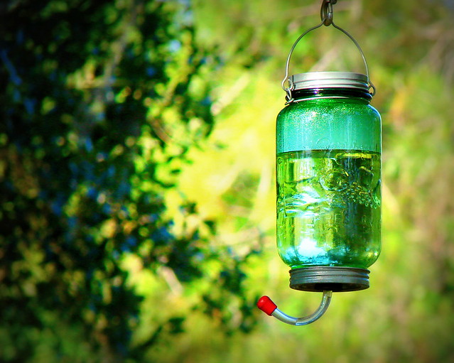 hummingfeeder