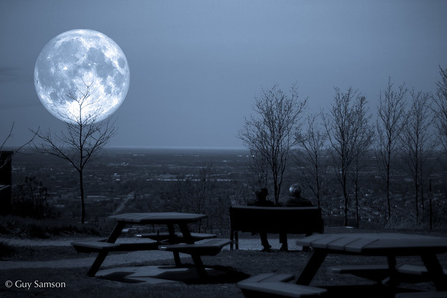 Grosse lune?! / Huge Moon