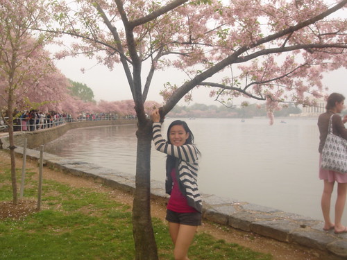me w/ cherry blossom tree