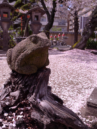 Frog's statue and mark of rain of blossoms.