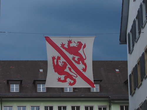 Schreitende rote Löwen, Fahne von Winterthur