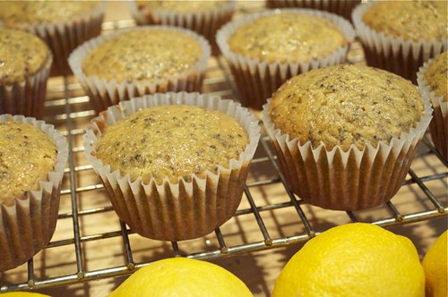 muffins/lemon chia seed 20