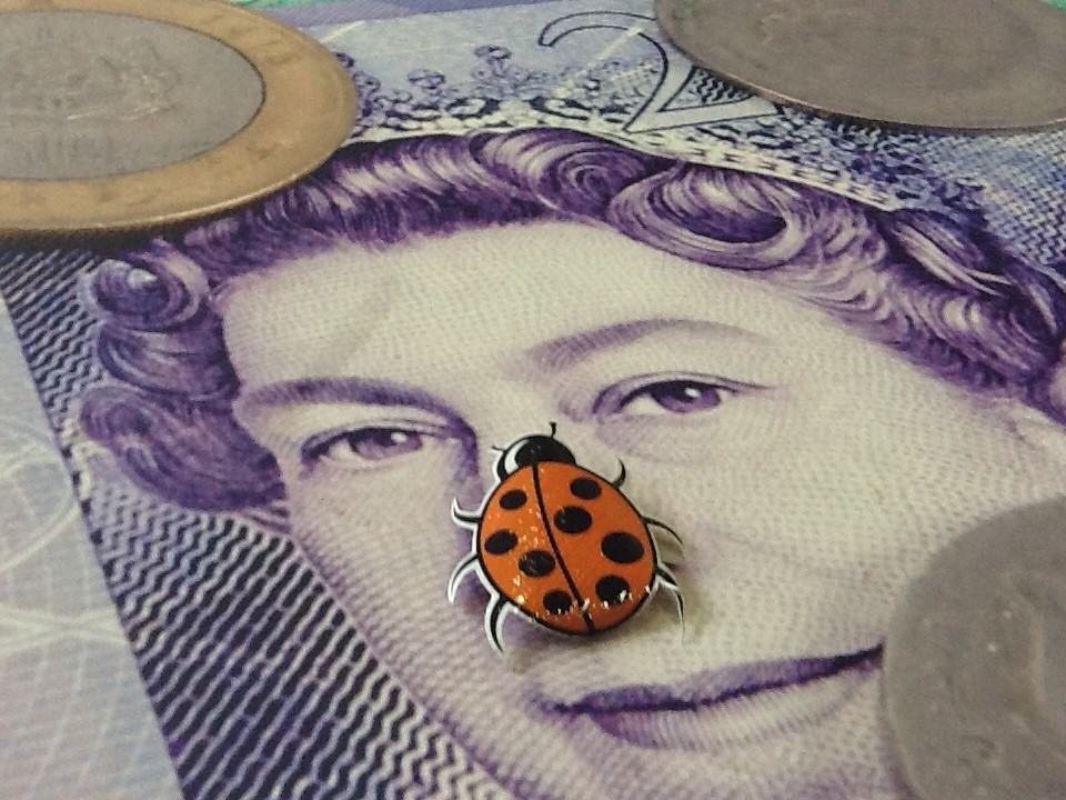 This ftt ladybird wants change.