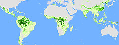 2000地球森林覆蓋面積( WWF / IAASA)