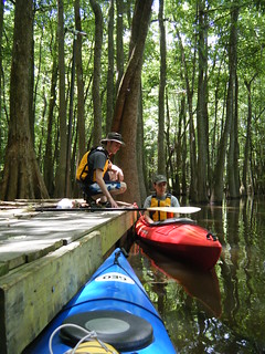 Sparkleberry Swamp Jun 2, 2012 12-27 PM