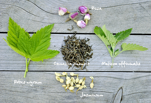 цветы и травяной чай herbal tea