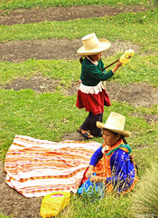 Cajamarca. Una región abrigada por un poncho verde .